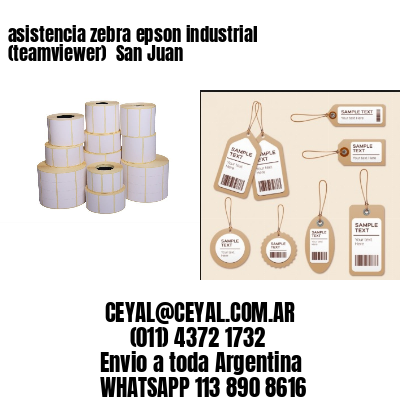 asistencia zebra epson industrial (teamviewer)  San Juan