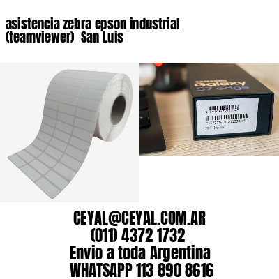 asistencia zebra epson industrial (teamviewer)  San Luis