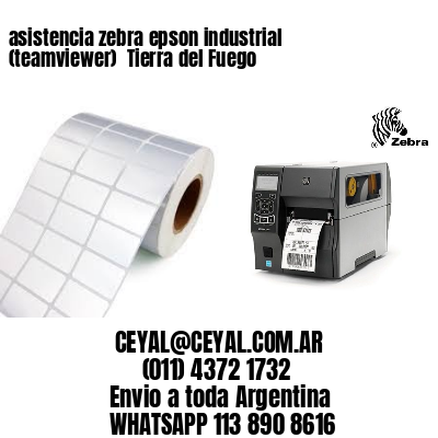 asistencia zebra epson industrial (teamviewer)  Tierra del Fuego