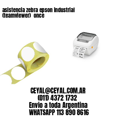 asistencia zebra epson industrial (teamviewer)  once