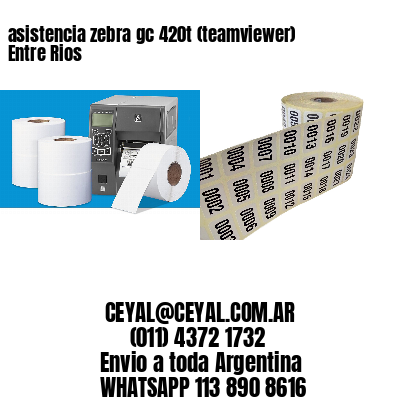 asistencia zebra gc 420t (teamviewer)  Entre Rios