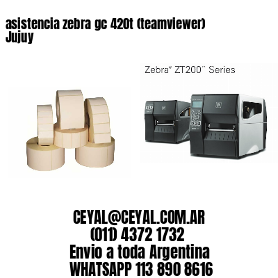 asistencia zebra gc 420t (teamviewer)  Jujuy