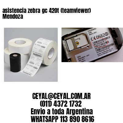 asistencia zebra gc 420t (teamviewer)  Mendoza