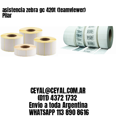 asistencia zebra gc 420t (teamviewer)  Pilar