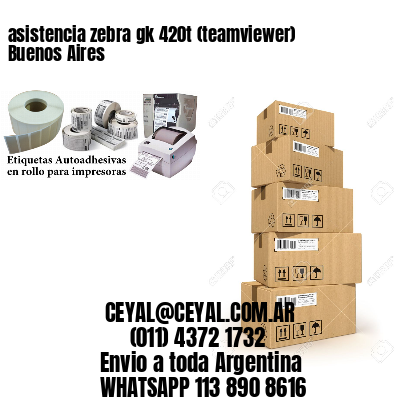 asistencia zebra gk 420t (teamviewer)  Buenos Aires
