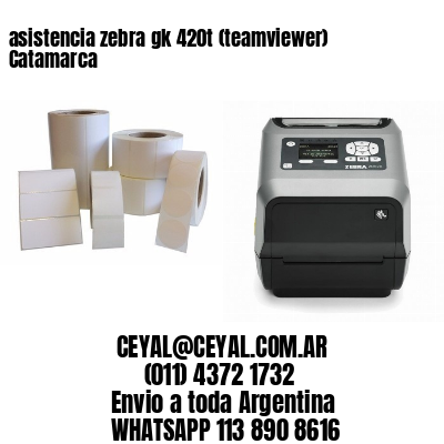 asistencia zebra gk 420t (teamviewer)  Catamarca