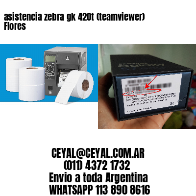 asistencia zebra gk 420t (teamviewer)  Flores