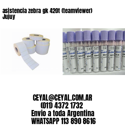 asistencia zebra gk 420t (teamviewer)  Jujuy