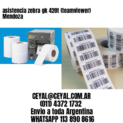asistencia zebra gk 420t (teamviewer)  Mendoza