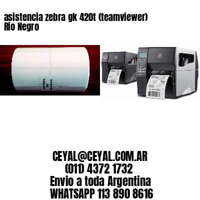 asistencia zebra gk 420t (teamviewer)  Rio Negro