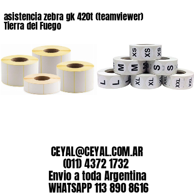 asistencia zebra gk 420t (teamviewer)  Tierra del Fuego