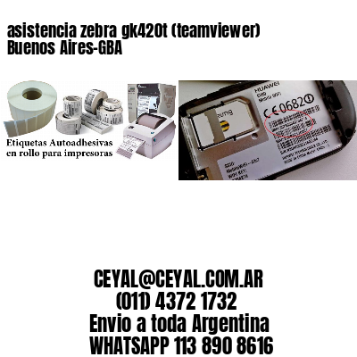 asistencia zebra gk420t (teamviewer)  Buenos Aires-GBA