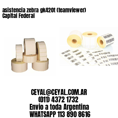 asistencia zebra gk420t (teamviewer)  Capital Federal