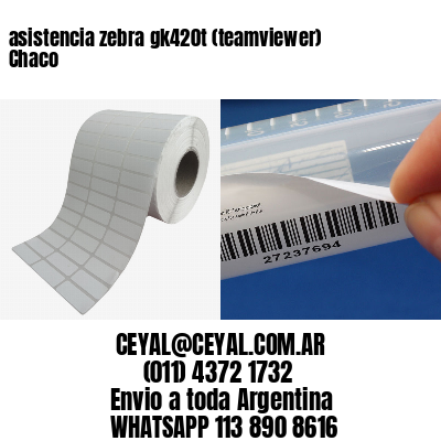 asistencia zebra gk420t (teamviewer)  Chaco