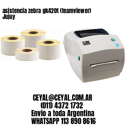 asistencia zebra gk420t (teamviewer)  Jujuy