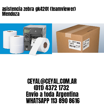 asistencia zebra gk420t (teamviewer)  Mendoza