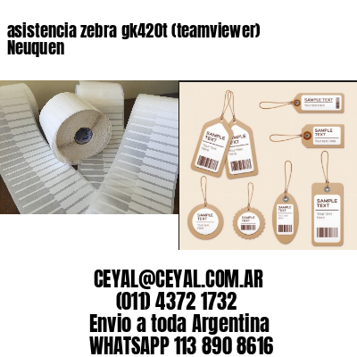 asistencia zebra gk420t (teamviewer)  Neuquen