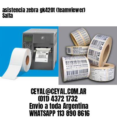 asistencia zebra gk420t (teamviewer)  Salta