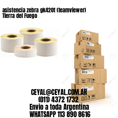 asistencia zebra gk420t (teamviewer)  Tierra del Fuego