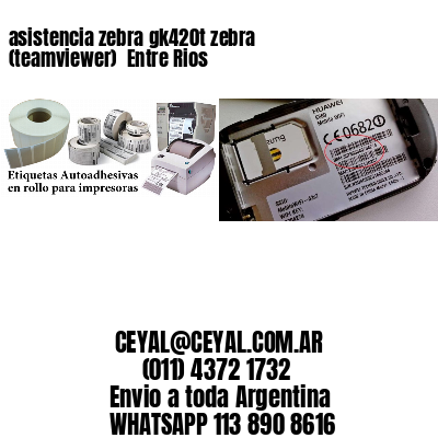 asistencia zebra gk420t zebra (teamviewer)  Entre Rios