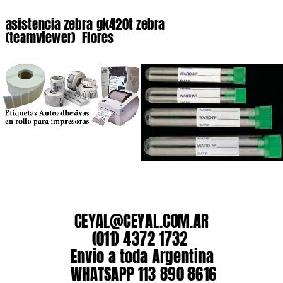 asistencia zebra gk420t zebra (teamviewer)  Flores