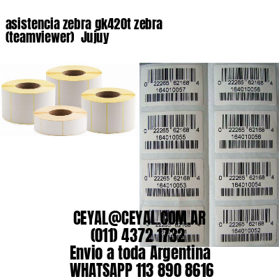 asistencia zebra gk420t zebra (teamviewer)  Jujuy