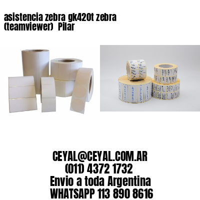 asistencia zebra gk420t zebra (teamviewer)  Pilar