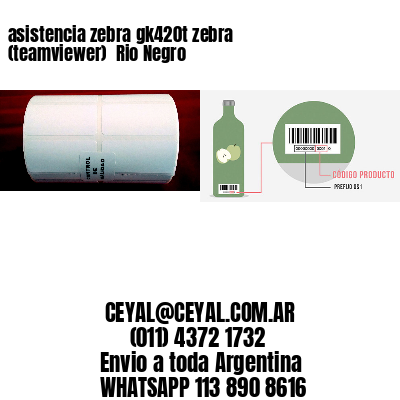asistencia zebra gk420t zebra (teamviewer)  Rio Negro