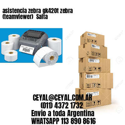 asistencia zebra gk420t zebra (teamviewer)  Salta