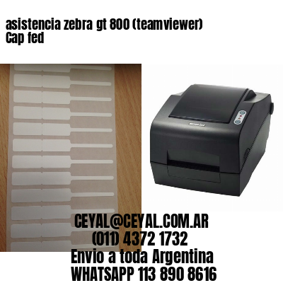 asistencia zebra gt 800 (teamviewer)  Cap fed
