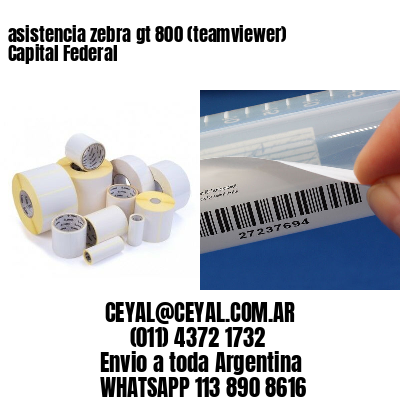 asistencia zebra gt 800 (teamviewer)  Capital Federal