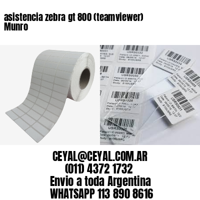 asistencia zebra gt 800 (teamviewer)  Munro
