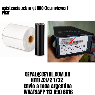 asistencia zebra gt 800 (teamviewer)  Pilar