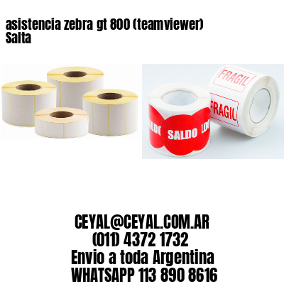 asistencia zebra gt 800 (teamviewer)  Salta