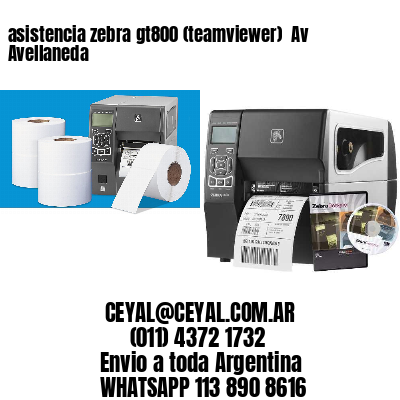 asistencia zebra gt800 (teamviewer)  Av Avellaneda