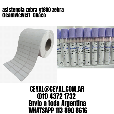asistencia zebra gt800 zebra (teamviewer)  Chaco
