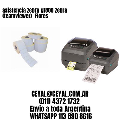 asistencia zebra gt800 zebra (teamviewer)  Flores