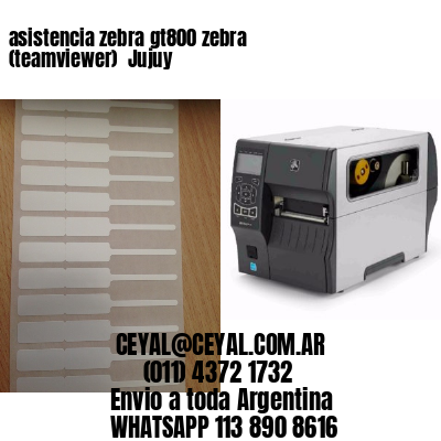 asistencia zebra gt800 zebra (teamviewer)  Jujuy