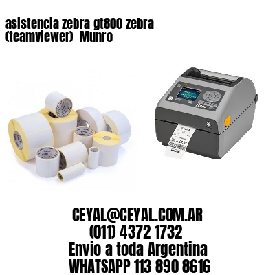 asistencia zebra gt800 zebra (teamviewer)  Munro