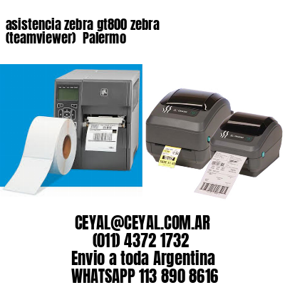 asistencia zebra gt800 zebra (teamviewer)  Palermo