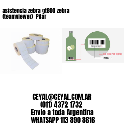 asistencia zebra gt800 zebra (teamviewer)  Pilar