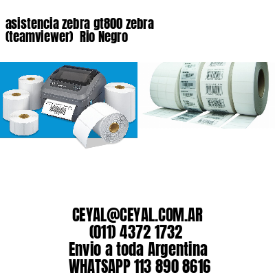 asistencia zebra gt800 zebra (teamviewer)  Rio Negro