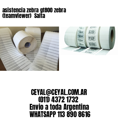 asistencia zebra gt800 zebra (teamviewer)  Salta