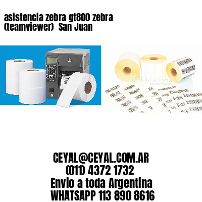 asistencia zebra gt800 zebra (teamviewer)  San Juan