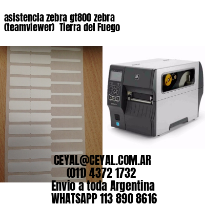 asistencia zebra gt800 zebra (teamviewer)  Tierra del Fuego