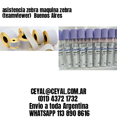 asistencia zebra maquina zebra (teamviewer)  Buenos Aires