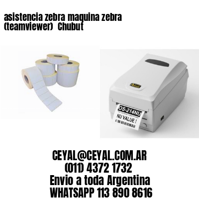 asistencia zebra maquina zebra (teamviewer)  Chubut
