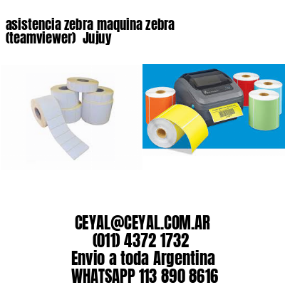 asistencia zebra maquina zebra (teamviewer)  Jujuy