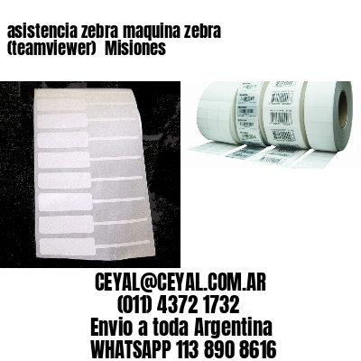 asistencia zebra maquina zebra (teamviewer)  Misiones