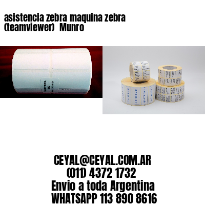 asistencia zebra maquina zebra (teamviewer)  Munro